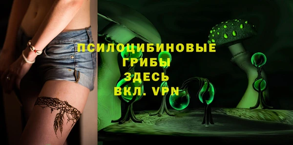 мяу мяу мука Новозыбков