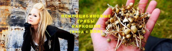 альфа пвп Новокубанск